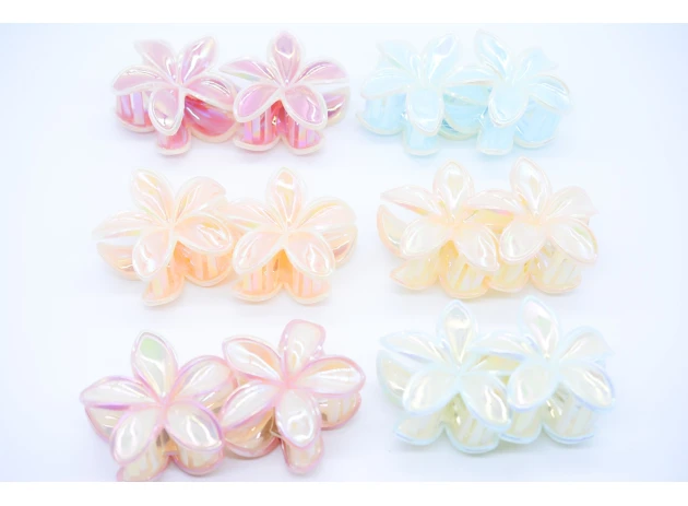 crab plastic  assorti set.6per.00144