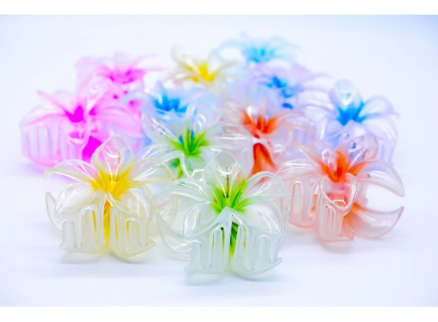 crab plastic  assorti set.6per.00120