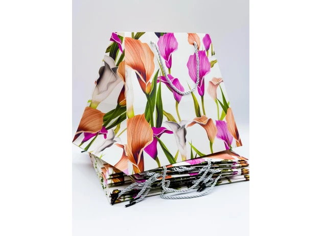 pungi cadou 26x31x23cm set.12buc. 00288
