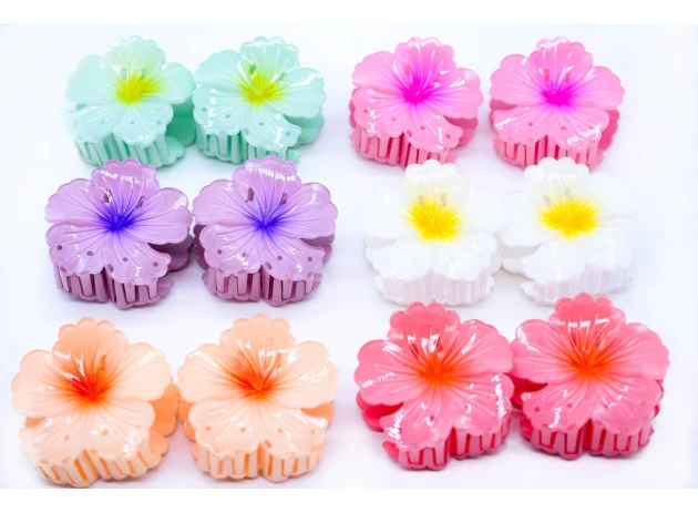 crab plastic  assorti set.6per.00120