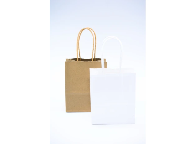 pungi hartie 22x16x8cm set.12buc. 00048