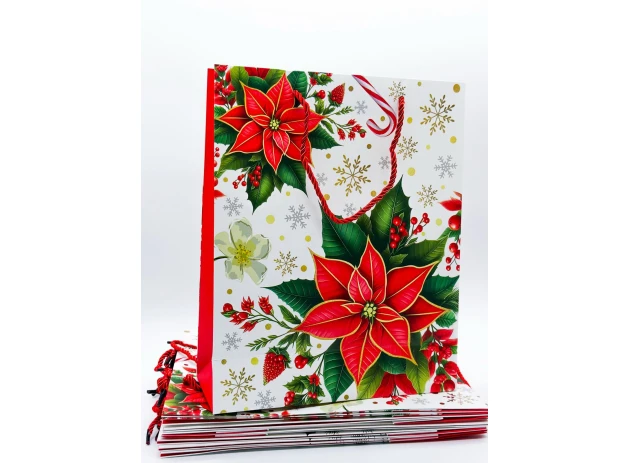 pungi cadou 26x32x10cm set.12buc.00162