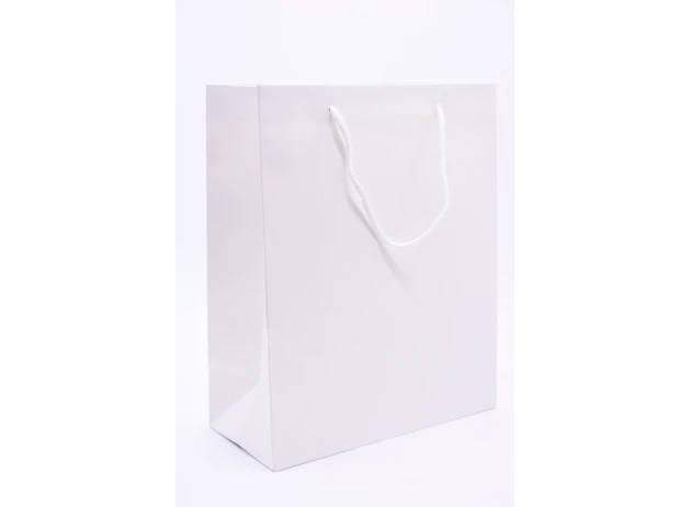 pungi cadou 26x32x12cm set.12buc.00150