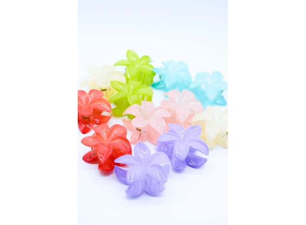 crab plastic  assorti set.6per.00096
