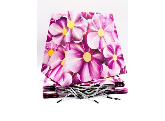 pungi cadou 26x31x23cm set.12buc. 00288