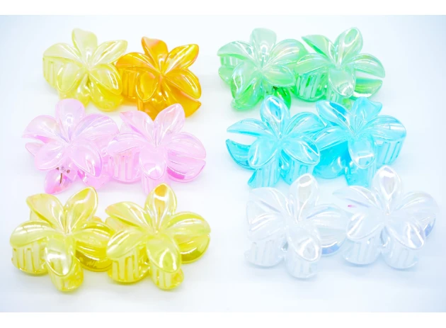 crab plastic  assorti set.6per.00174