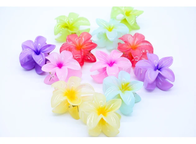 crab plastic  assorti set.6per.00096