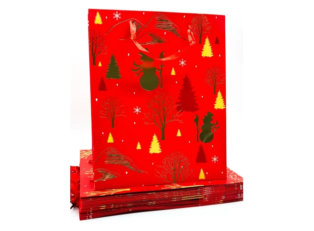 pungi cadou 26x32x10cm set.12buc.00162