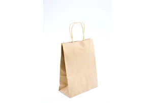 pungi hartie 22x16x8cm set.12buc. 00048