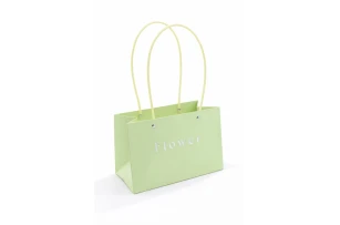 pungi flori 22x10x13cm set.10buc.00108