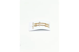 agrafe decor assorti set.12per.00240