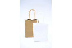 pungi hartie 22x16x8cm set.12buc. 00048