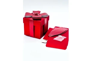 cutii p-u cadou 20cm buc.00034