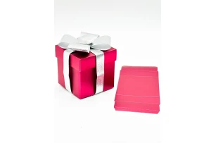 cutii p-u cadou 15cm buc.00026