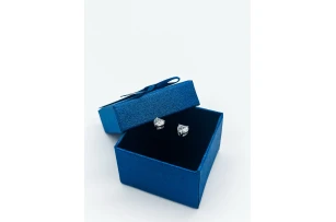 cercei in assortiment set.  2per.00052*