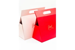 cutii p-u cadou 28x13x27cm buc.00087