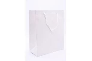 pungi cadou 26x32x12cm set.12buc.00150