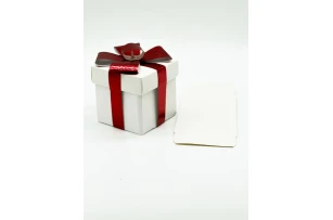 cutii p-u cadou 15cm buc.00026