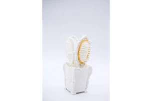 pieptene in assortiment set.5buc.00090