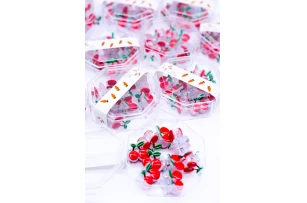 crab plastic 2cm assorti set.12cut..00252
