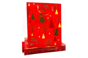 pungi cadou 26x32x10cm set.12buc.00162