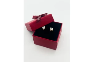 cercei in assortiment set.  2per.00052*